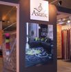 ASIATIC3-DOMOTEX2009