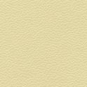126 HELLELFENBEIN/LIGHT IVORY.jpg